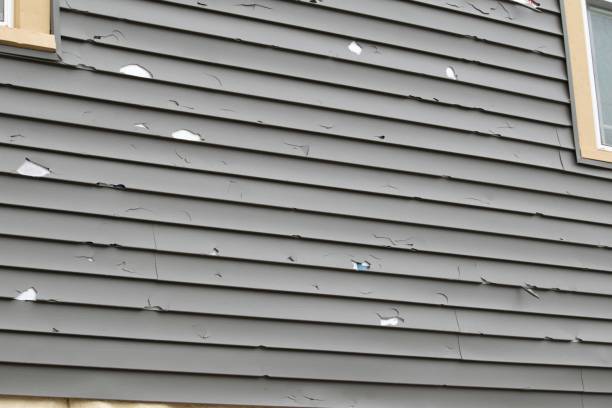 Best Recycling Services for Junk  in Belleville, PA
